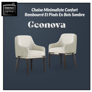 geonova chair