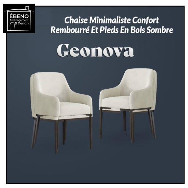 geonova chair geonova chair